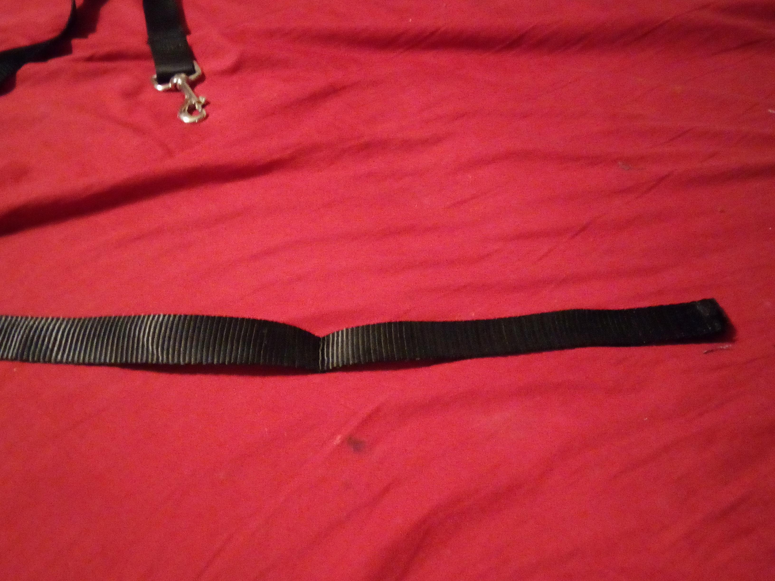 straps 9.jpg