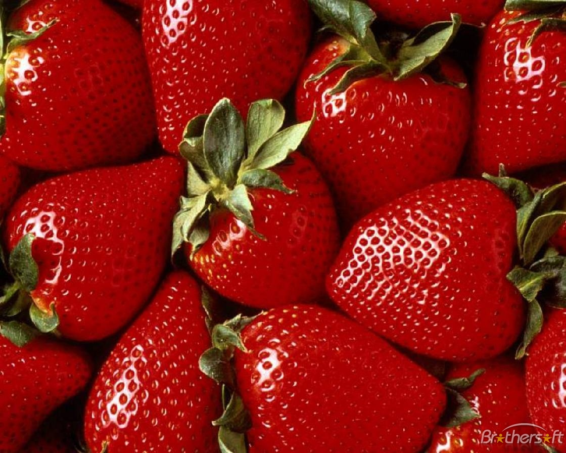 strawberries_theme-201617-1230259992.png