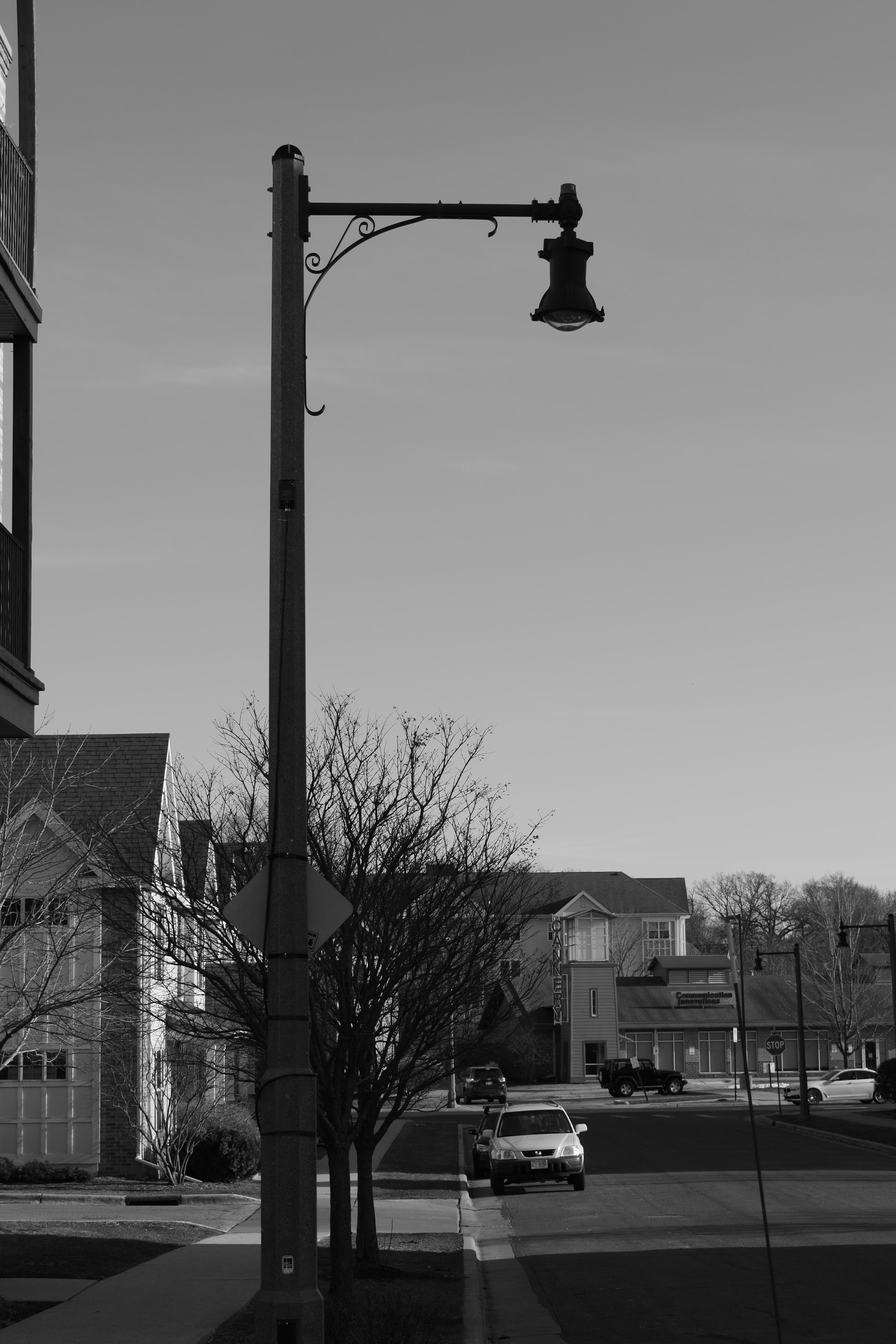 street light L.JPG