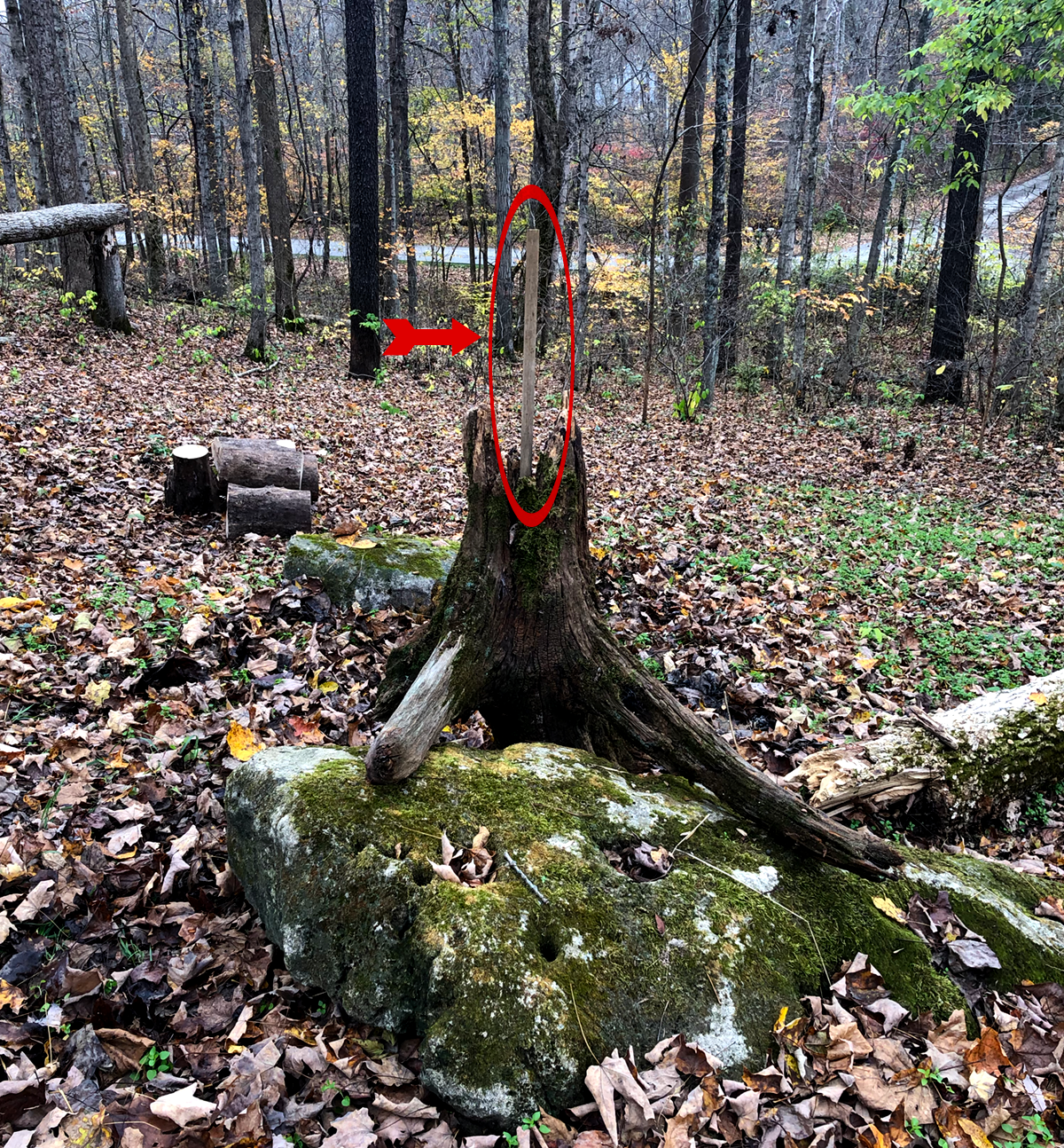 stump_pole_mount.png