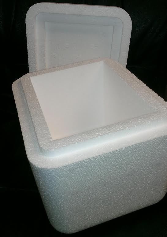 styrofoam cooler.JPG