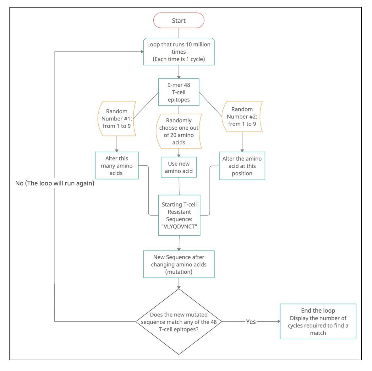 t-cell flowchart.png