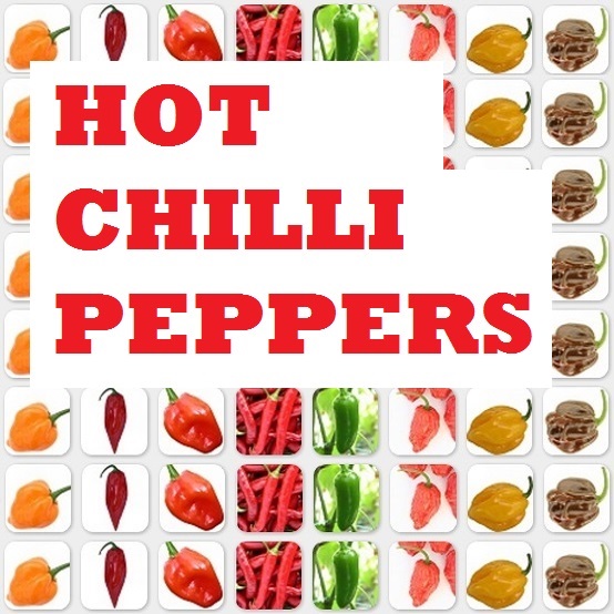 table of chillies 05.jpg