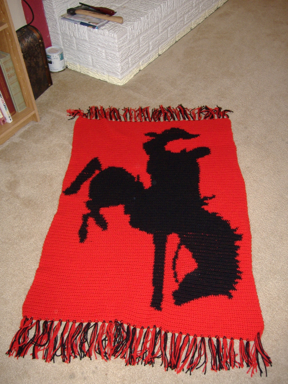 talon's rodeo blanket.JPG