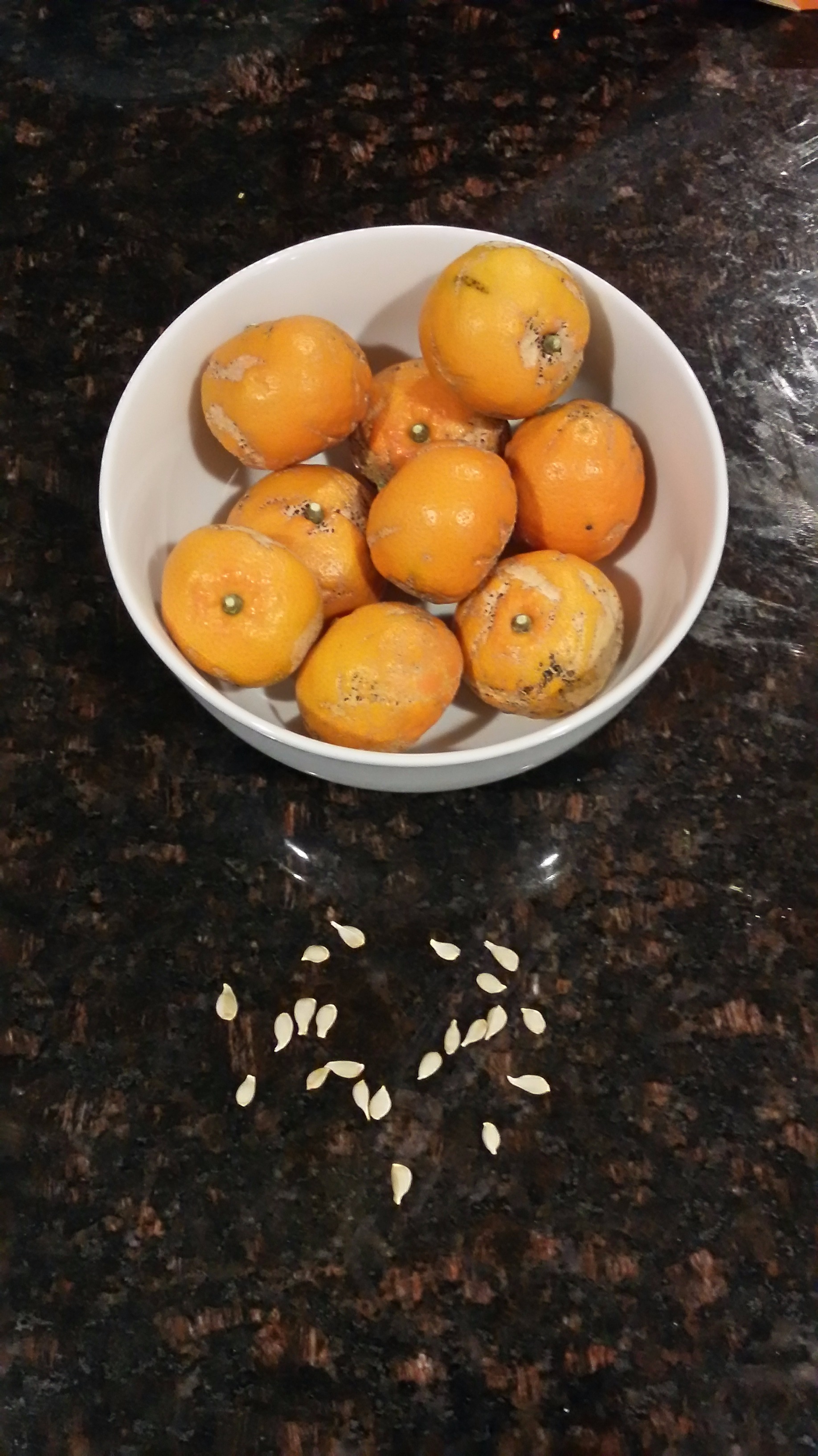 tangerines and seeds NOV2017.jpg