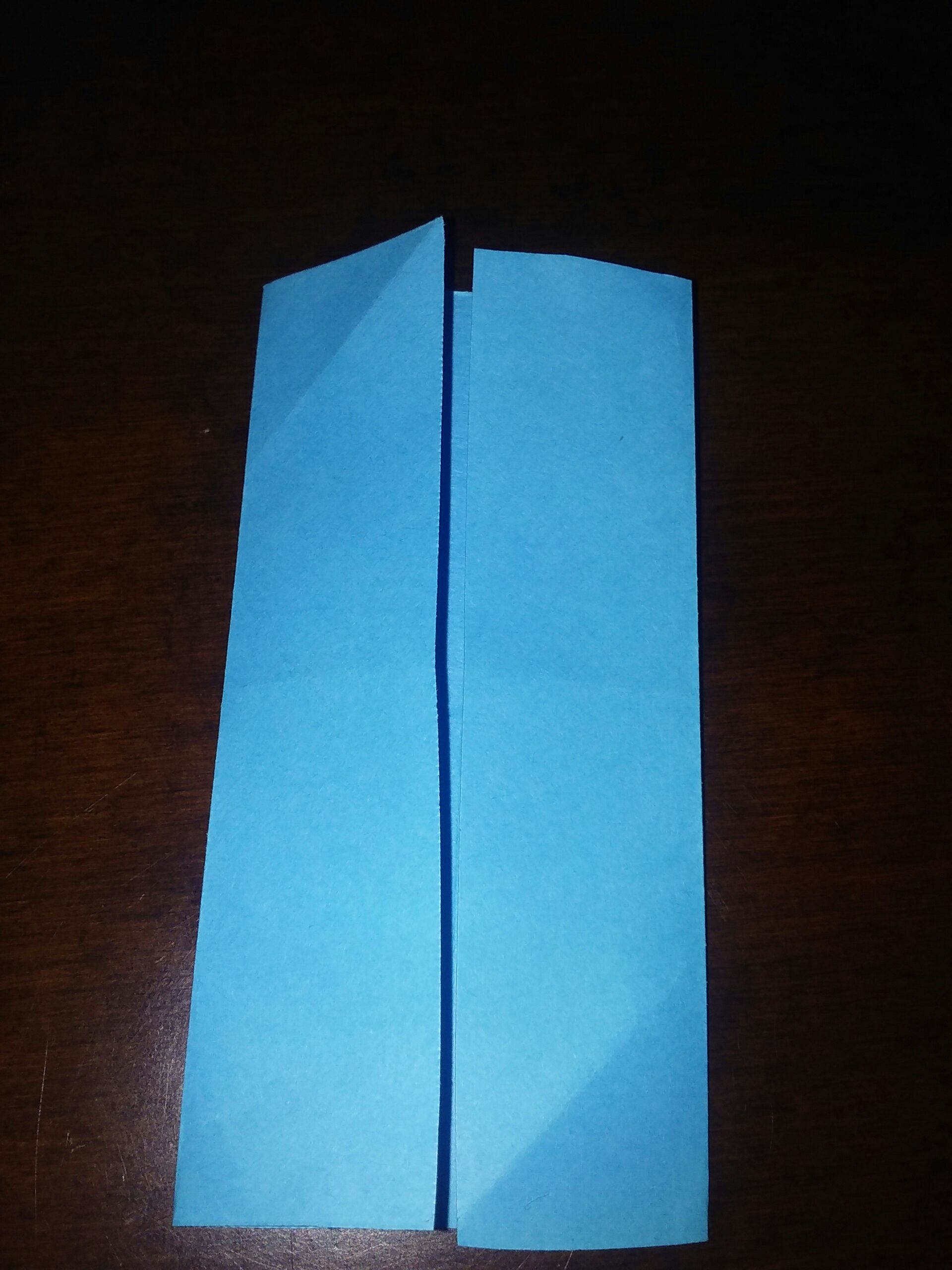 temp_-1722911937.jpg