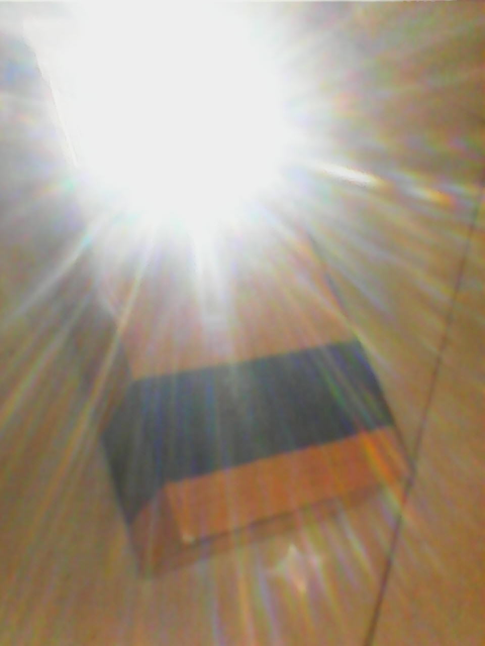 temp_-1982614352.jpg