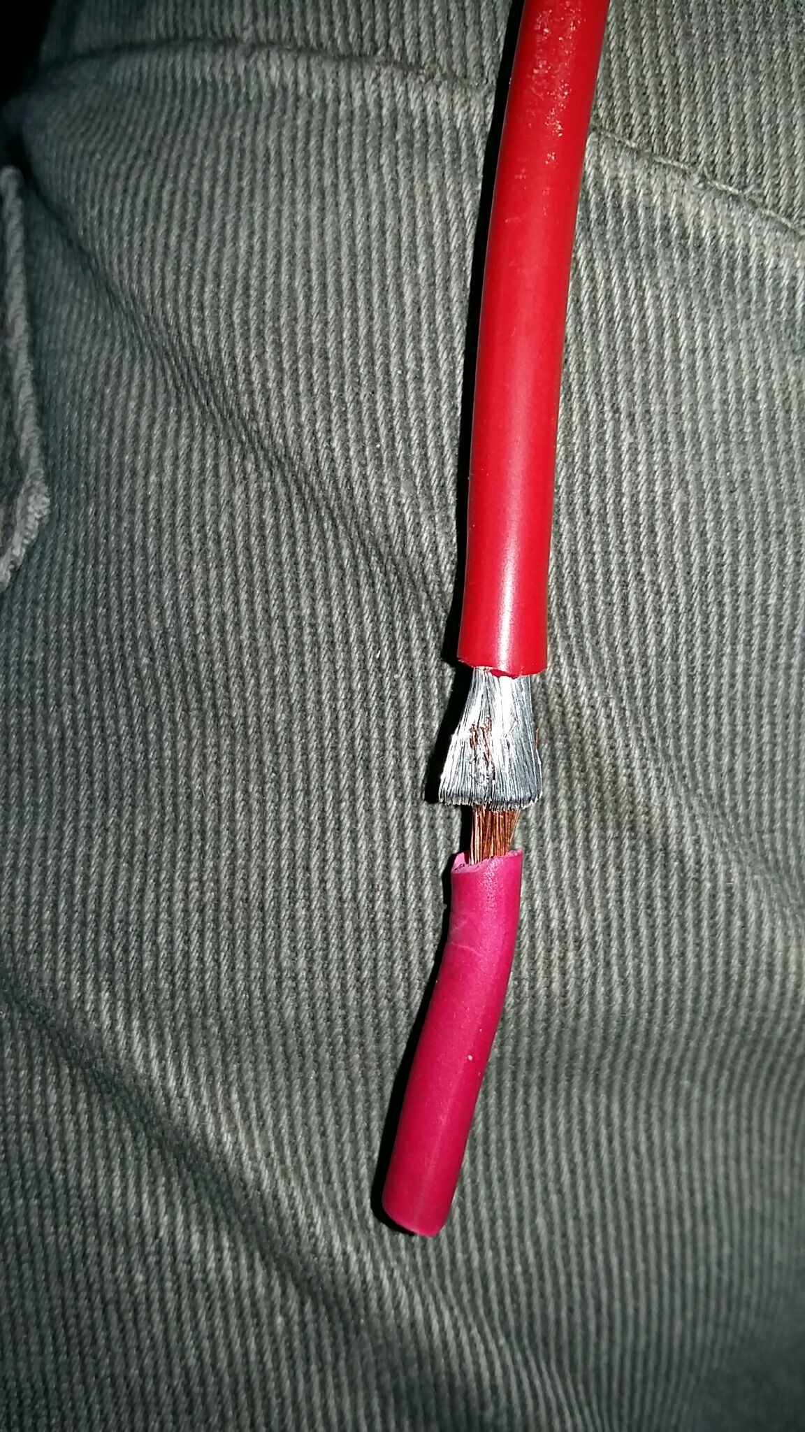 temp_-2089838253.jpg