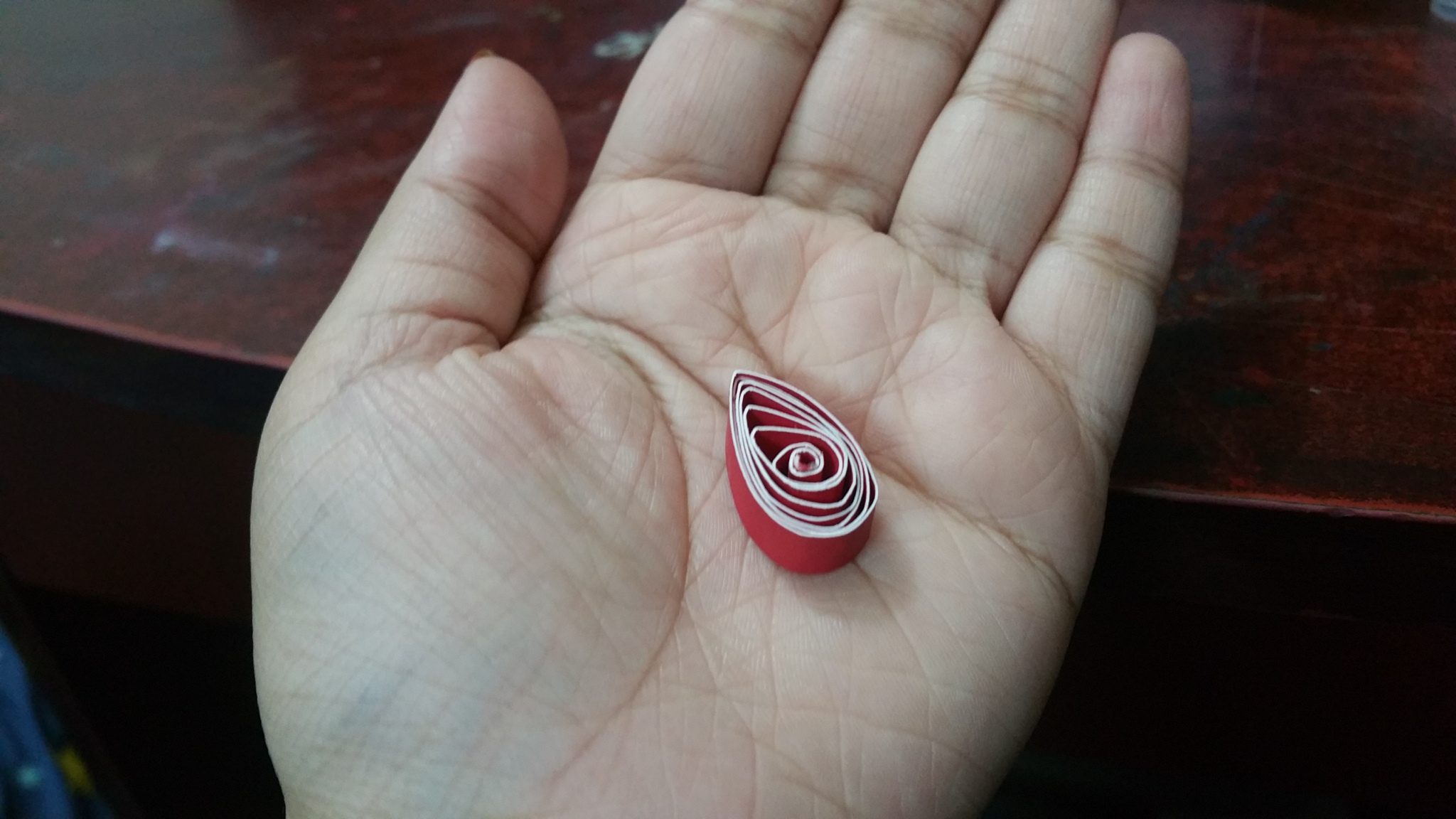 temp_-255881305.jpg