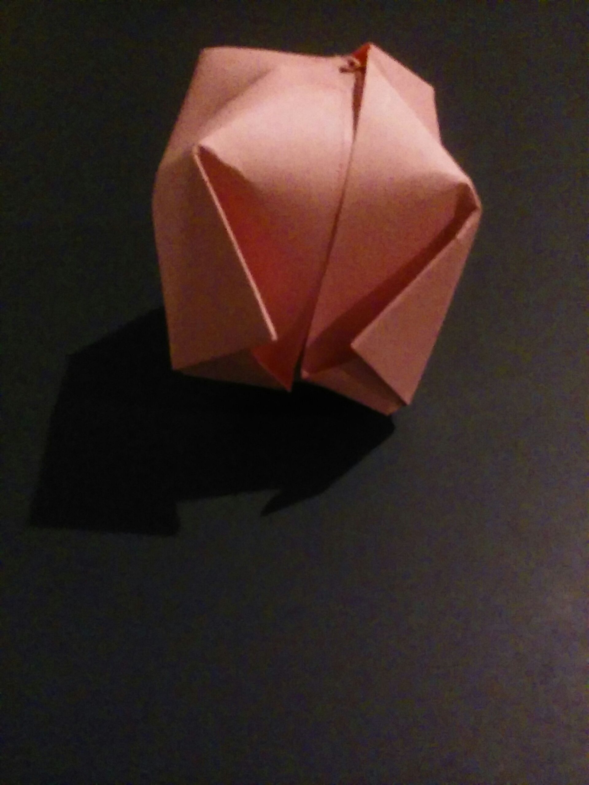 temp_-258736501.jpg