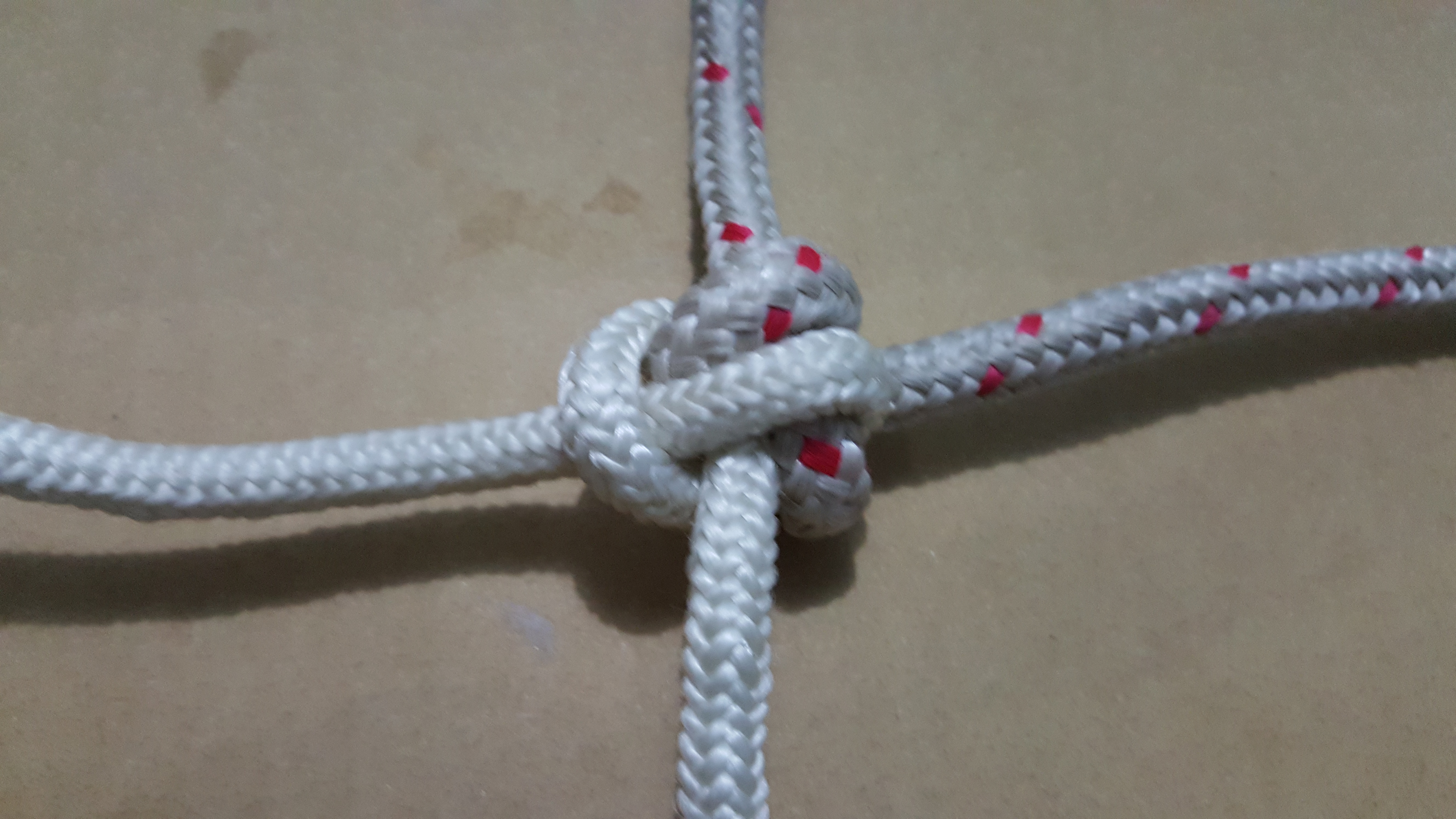 temp_-398164650.jpg
