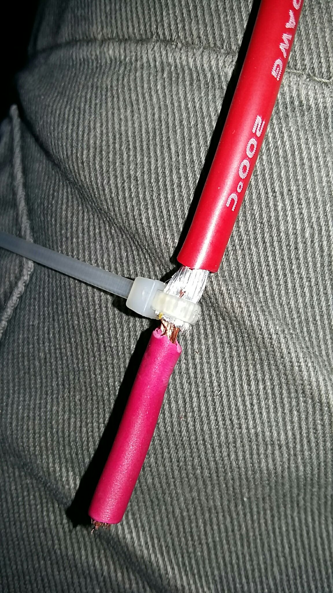 temp_-953115134.jpg