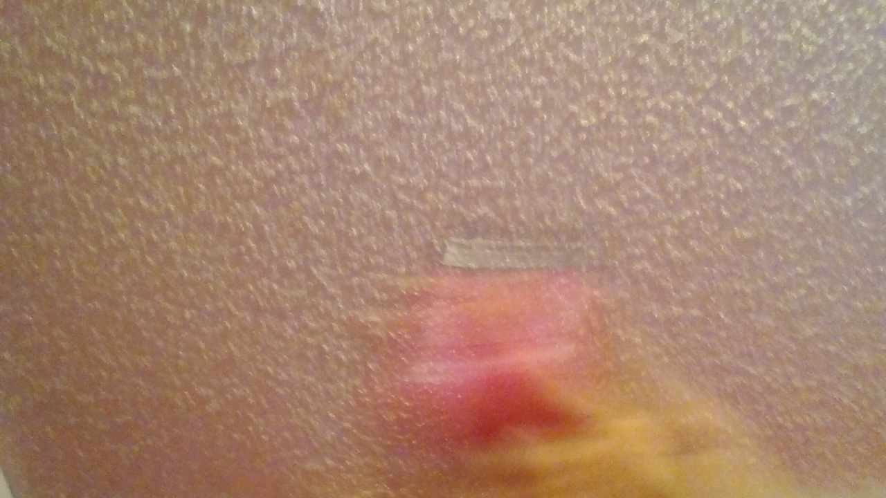 temp_-961833197.jpg