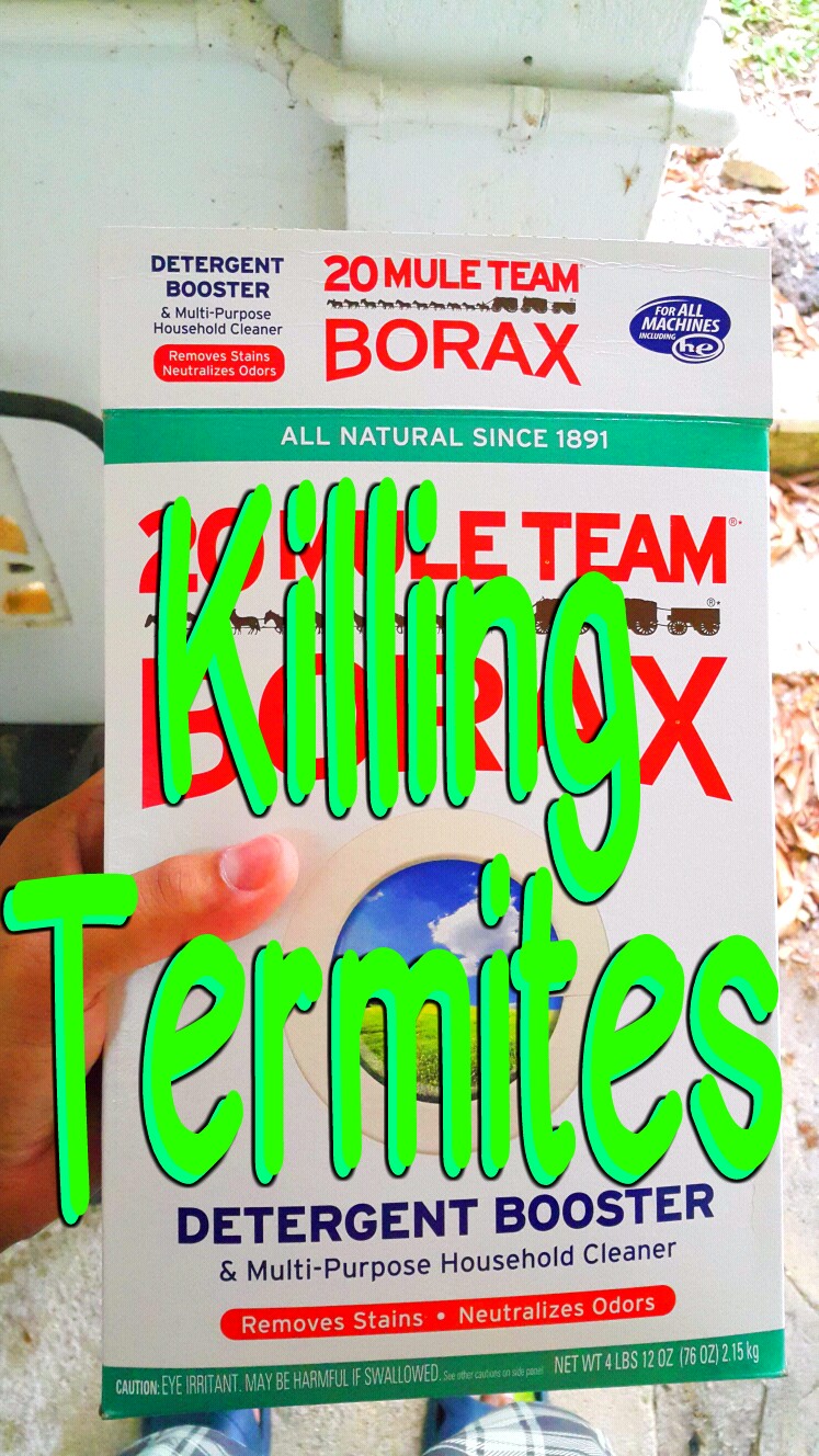 temp_124976142.jpg