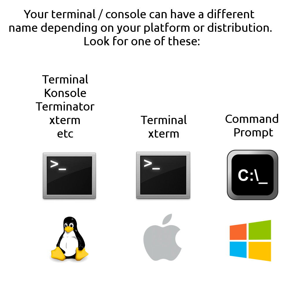 terminals.jpg