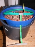 th_Sieve_airrpump.jpg