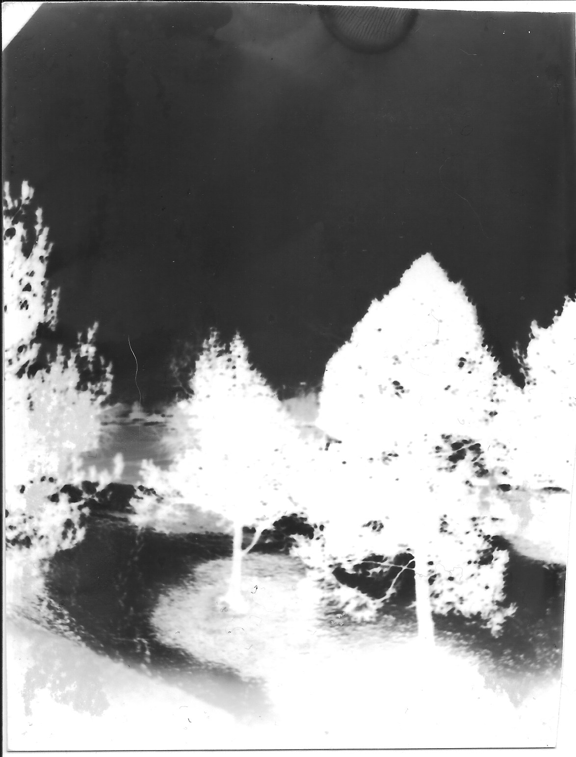 theblckwlf_pinhole_4neg.jpeg