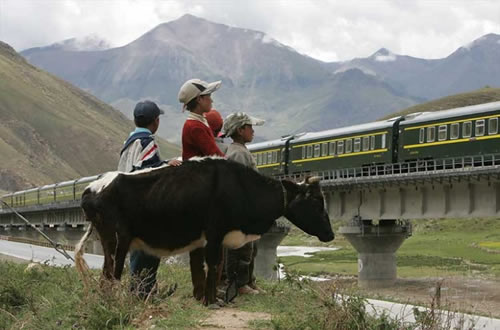 tibet-train-seen-by-tibet-people.jpg