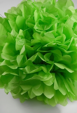 tissue paper flower.jpg