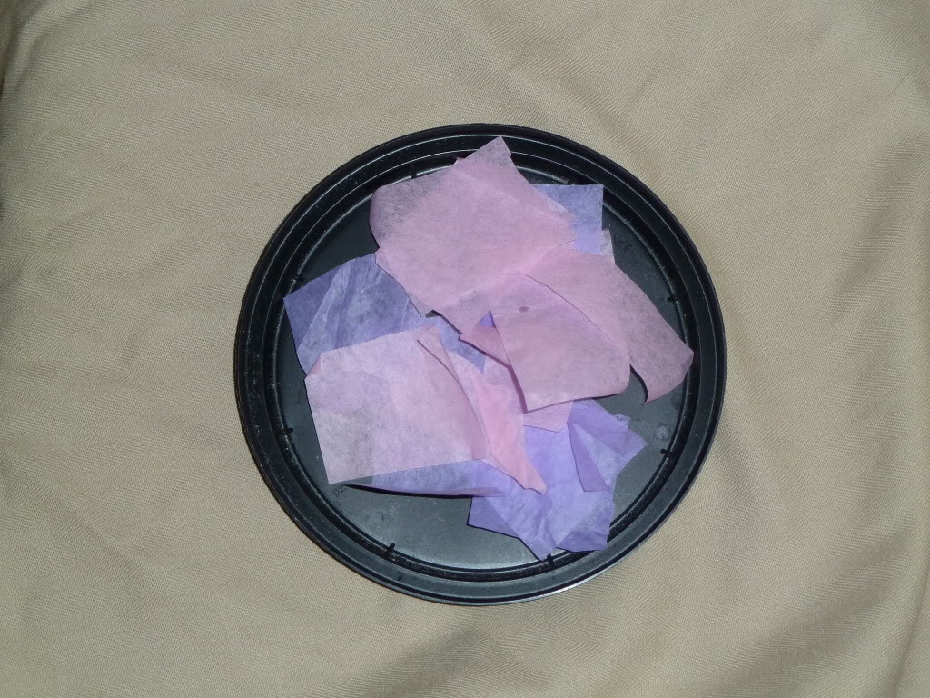 tissue paper pieces.jpg