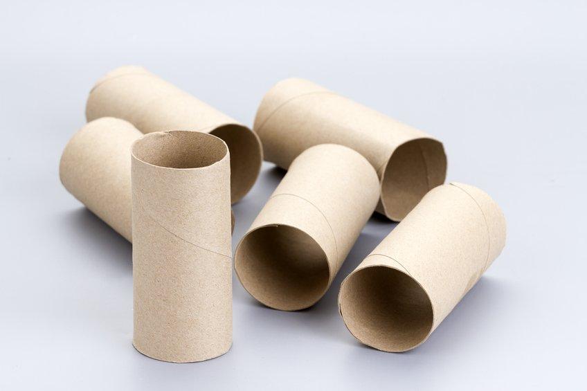 toilet-paper-rolls.jpg