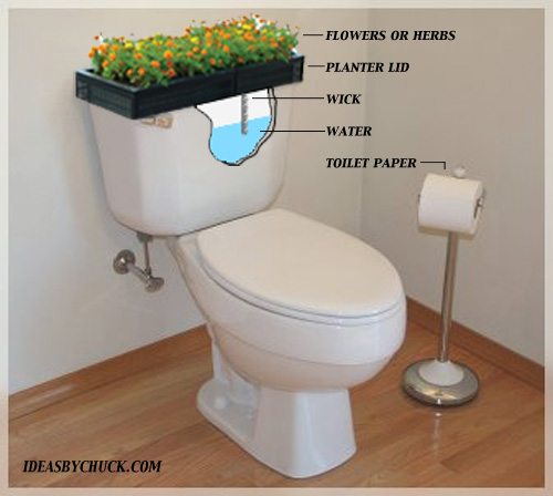 toiletplanter.jpg