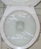 toiletplastic1.jpg