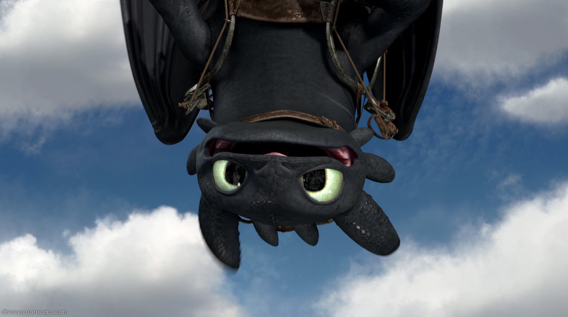 toothless.jpg