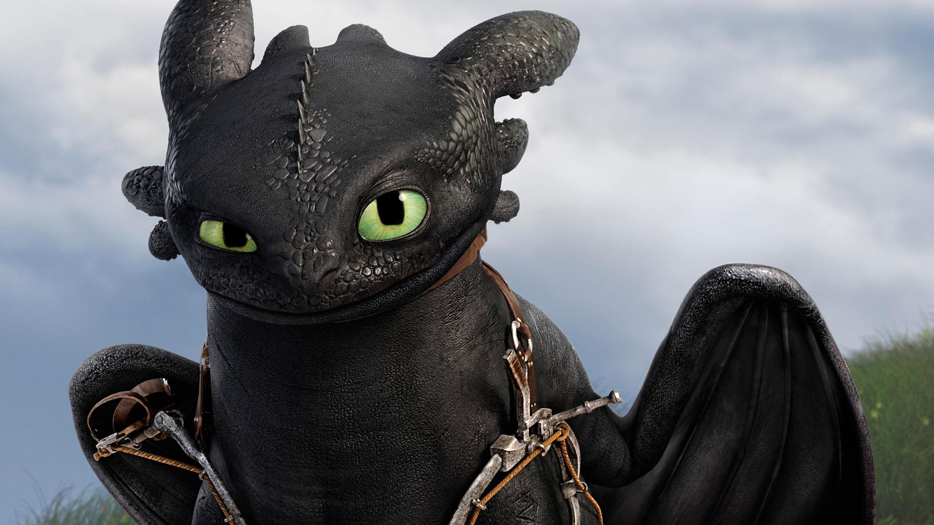 toothless_really?.jpeg