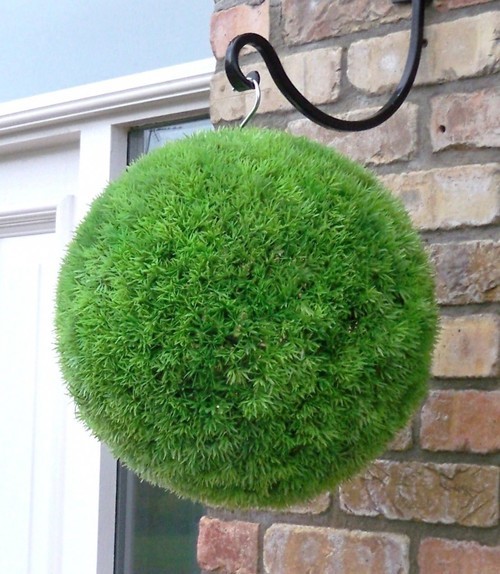 topiary.jpg