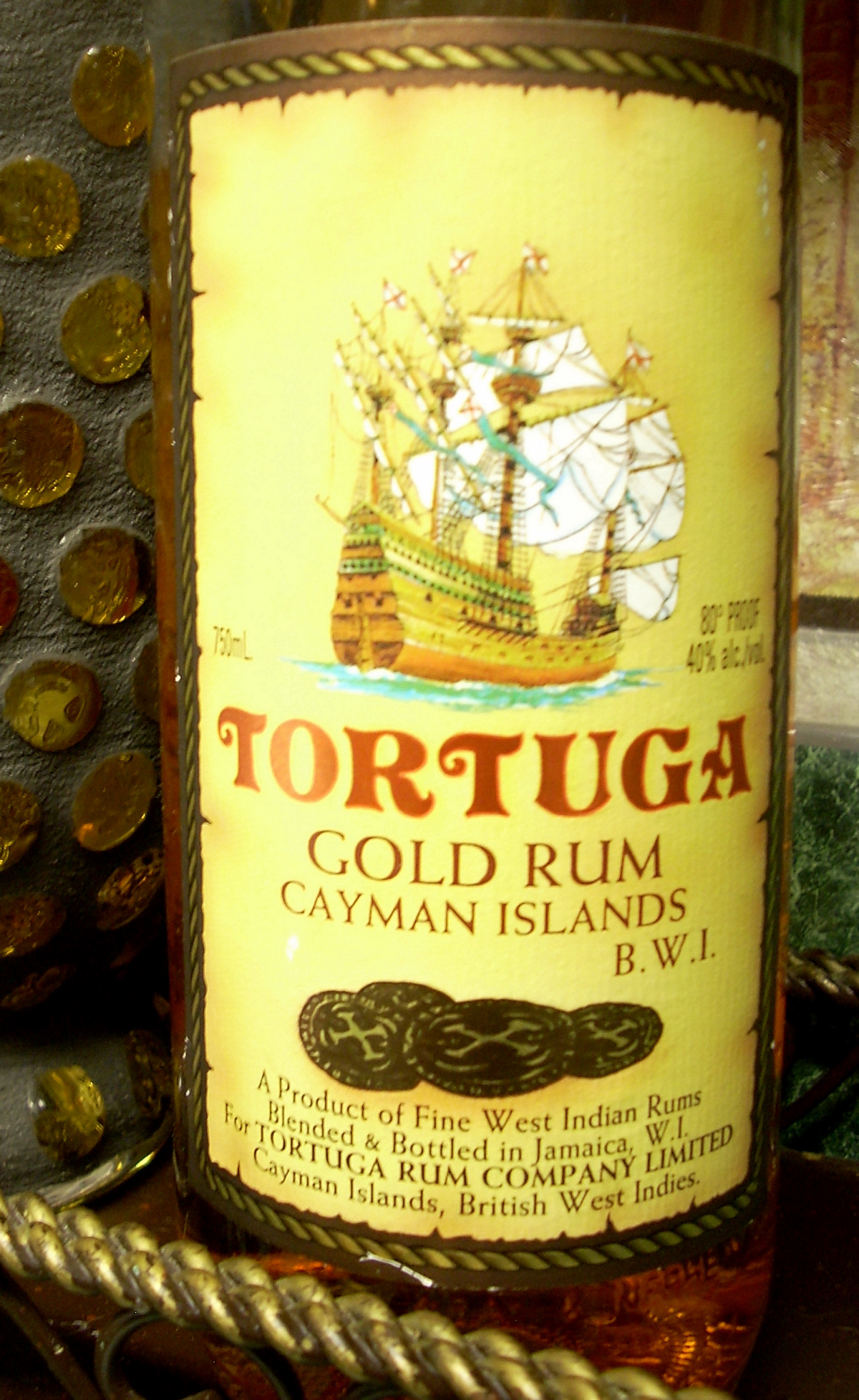 tortuga6.JPG