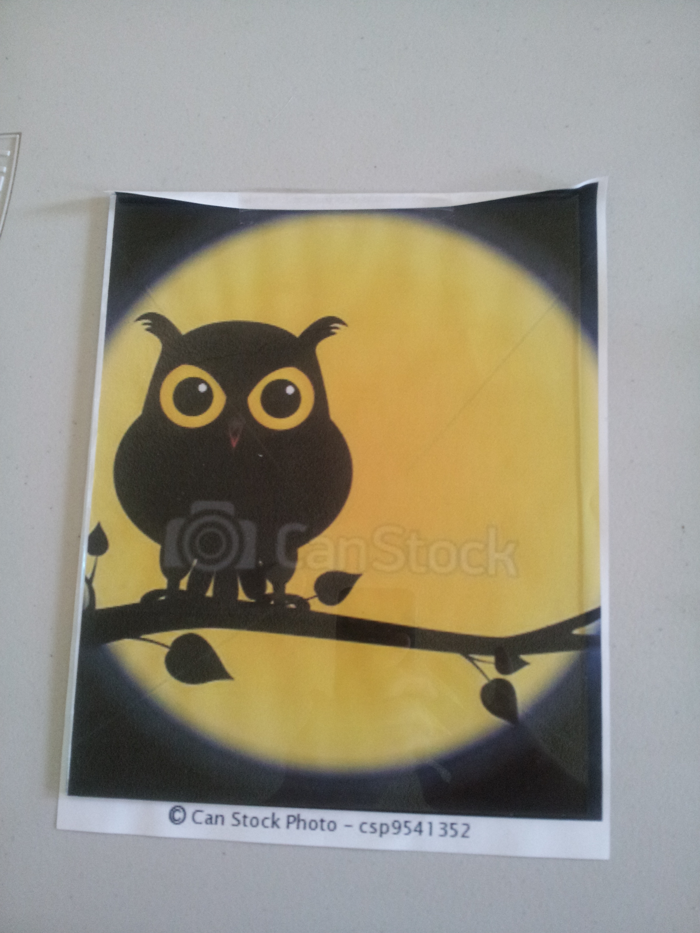 traced owl pic frame 016.jpg