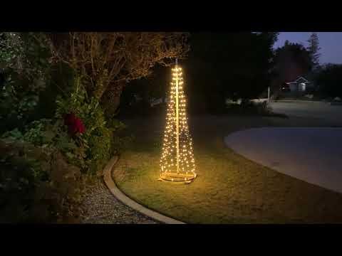 tree light video