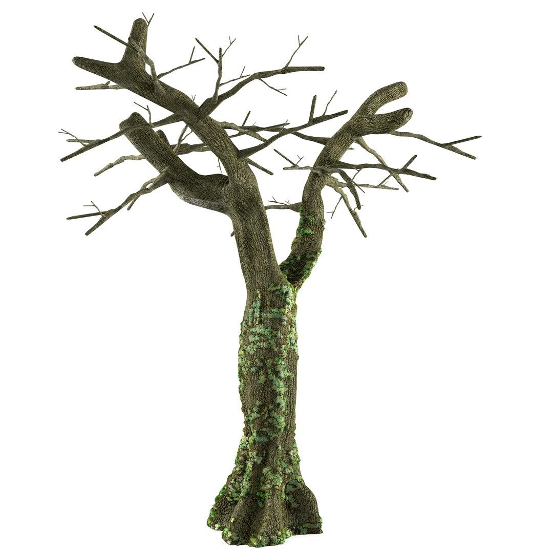 tree.1.jpg