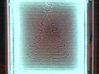 tree01.JPG