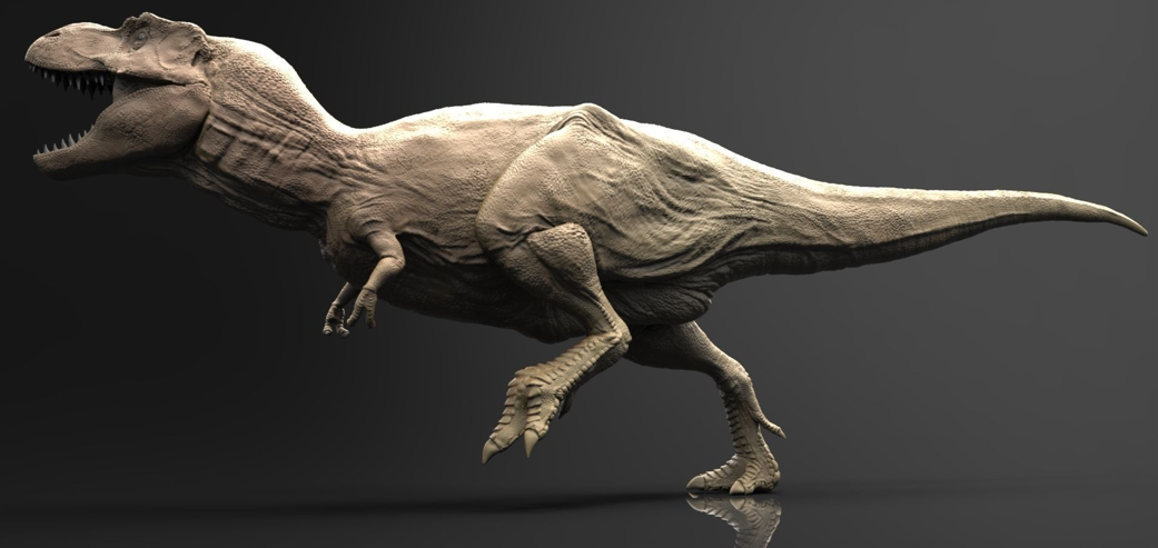 trex original picture.PNG