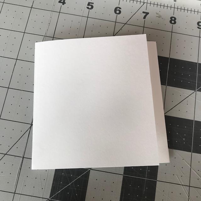 trifold trimmed.jpg