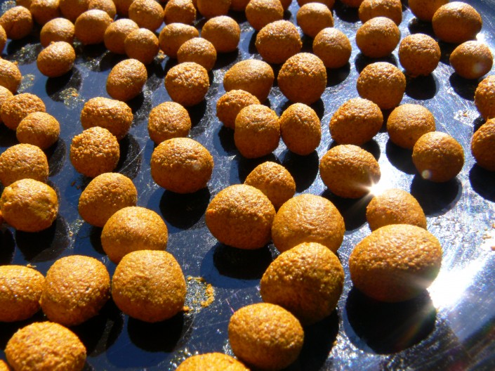 turmeric-drying.jpg