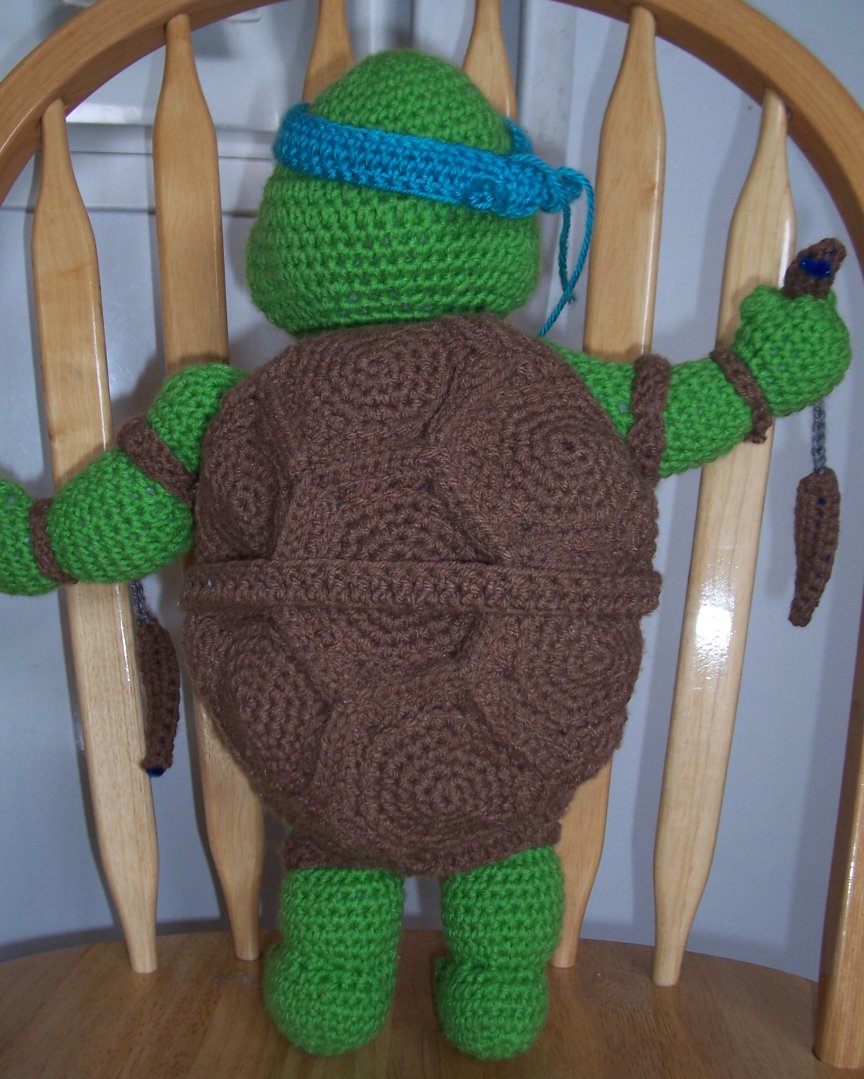 turtle back view.jpg