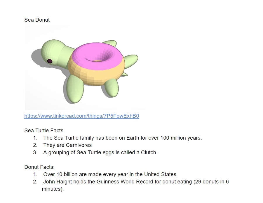 turtle donut.jpg