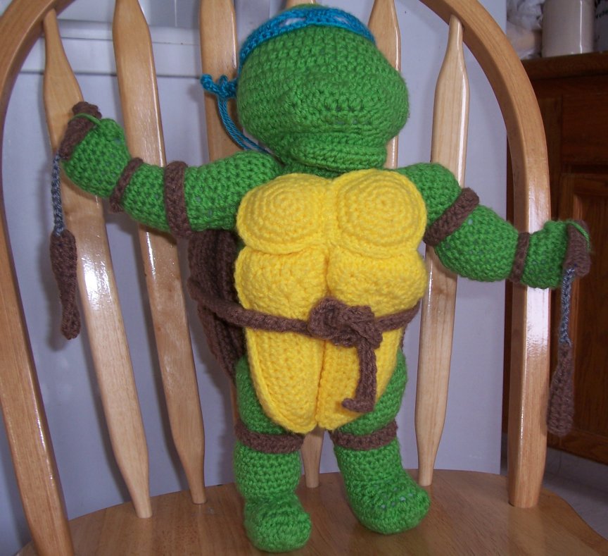 turtle front view.jpg