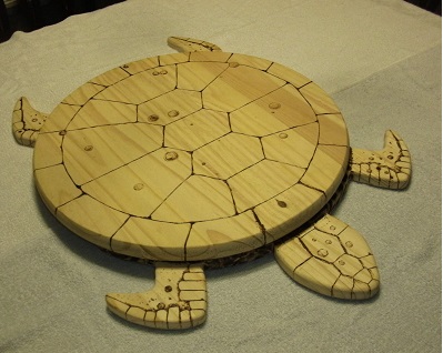 turtle with lines.JPG