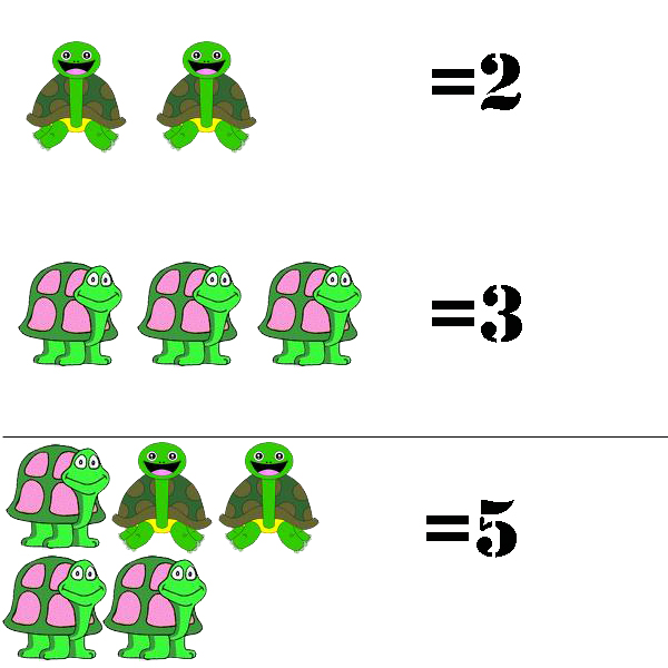 turtlemath.jpg