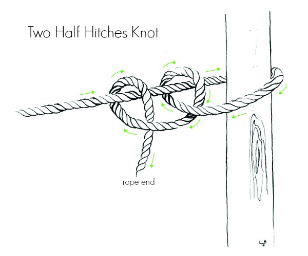 two half hitches knot.jpg