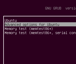 ubuntu grub menu 2.png