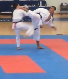 ura mawashi geri 1.jpg