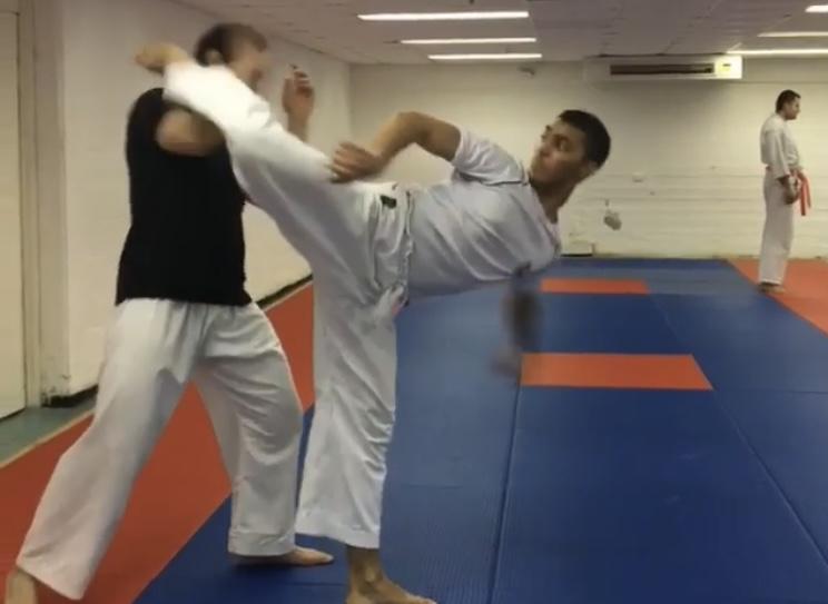 ura mawashi geri 3.jpg