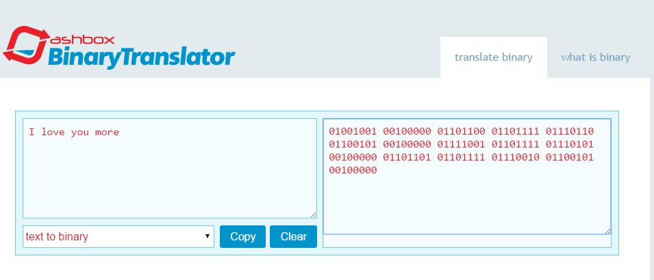 use an online binory tanslator to create the secret binory message of your choice.jpg