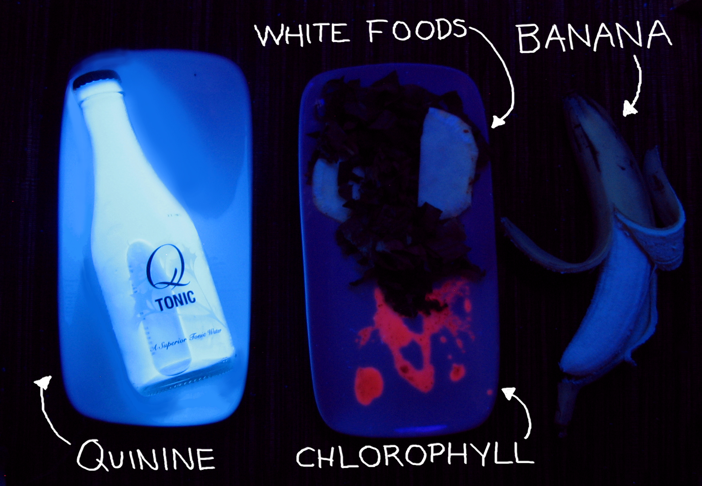 uv foods2.jpg