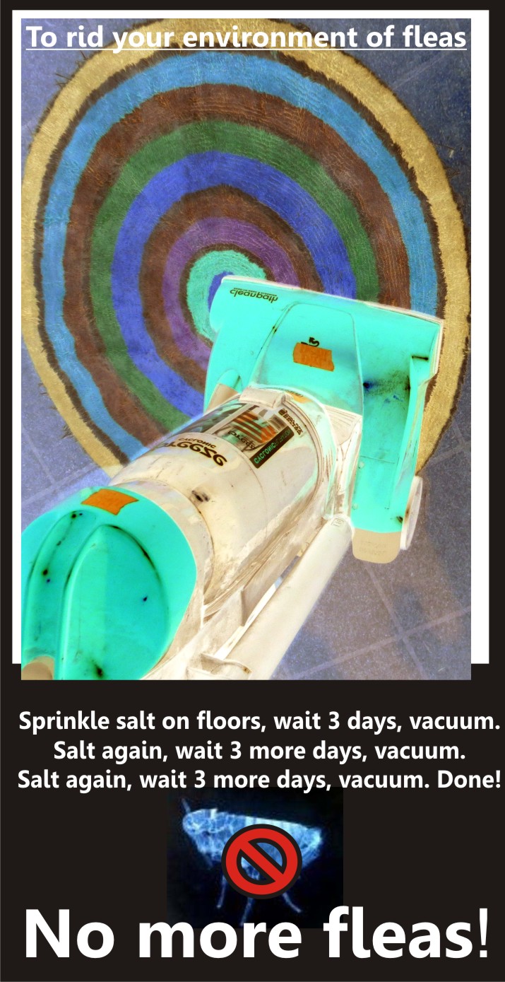 vacuum.JPG